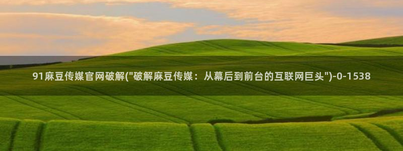 麻豆tv传媒官网：91麻豆传媒官网破解(\