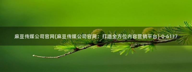 麻豆传媒直播官网三三：麻豆传媒公司官网(麻豆传媒公司官网：打造全方位内容营销平台)