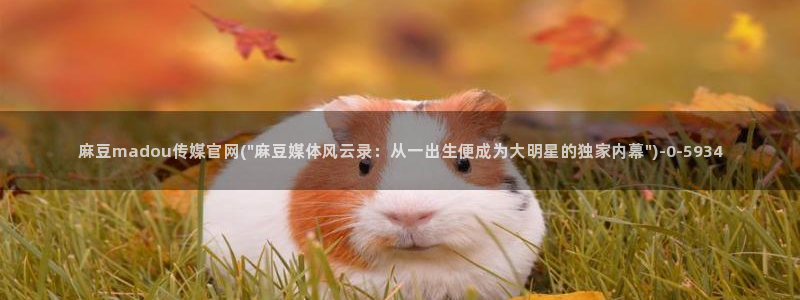 麻豆传媒官网观看：麻豆madou传媒官网(\