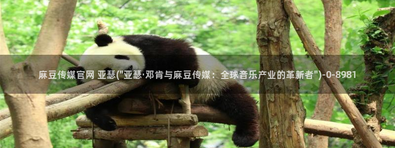 麻豆传媒官网在线入口：麻豆传媒官网 亚瑟(\