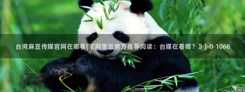 麻豆传媒官网 知乎：台湾麻豆传媒官网在哪看(《阿里云官方推荐阅读：台媒在看哪？》)