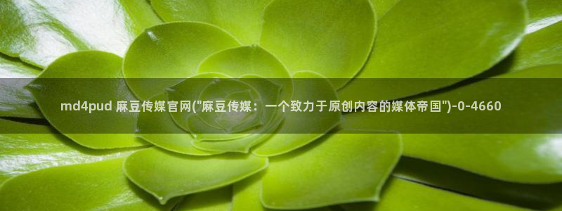麻豆视传媒官网入口：md4pud 麻豆传媒官网(\