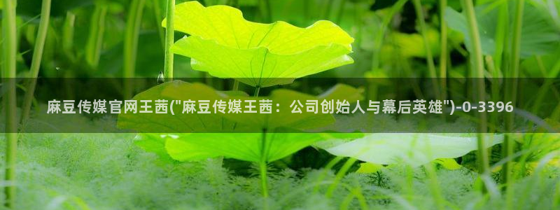 麻豆传媒网站官网：麻豆传媒官网王茜(\