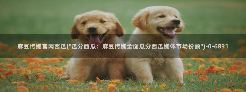麻豆台湾传媒官网：麻豆传媒官网西瓜(\