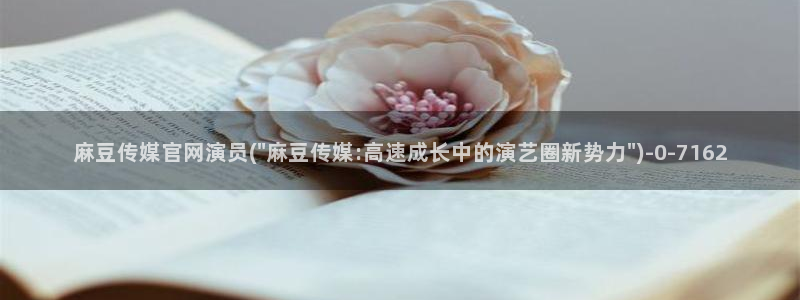 台湾麻豆传媒官网app