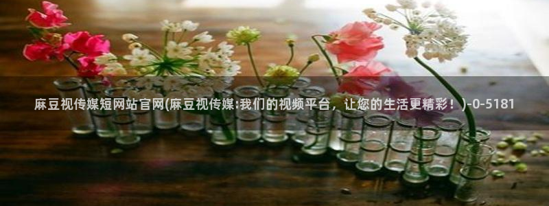 麻豆啊传媒app官网黄