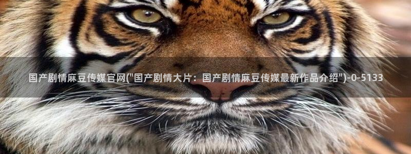 台湾麻豆传媒app官网：国产剧情麻豆传媒官网(\