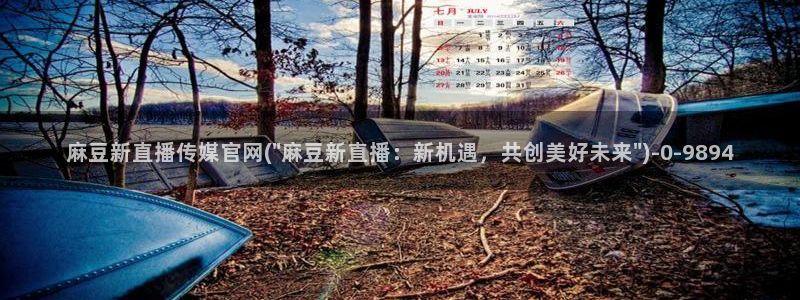 麻豆传媒直播官网app：麻豆新直播传媒官网(\