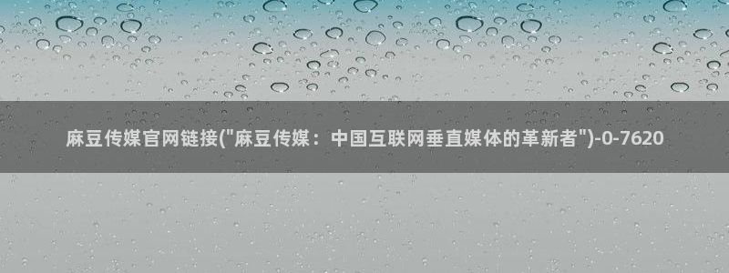 麻豆传媒官网油管：麻豆传媒官网链接(\