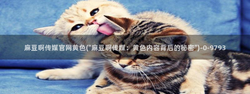 麻豆传媒映画传媒官网：麻豆啊传媒官网黄色(\