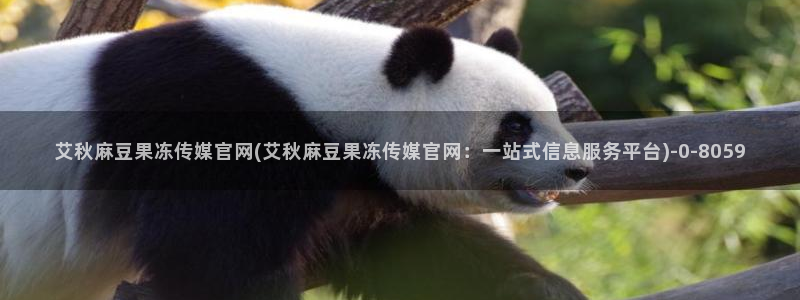 麻豆传媒官网播放：艾秋麻豆果冻传媒官网(艾秋麻豆果冻传媒官网：一站式信息服务平台)