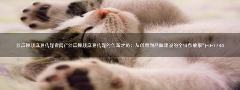 91麻豆传媒app官网：丝瓜视频麻豆传媒官网(\